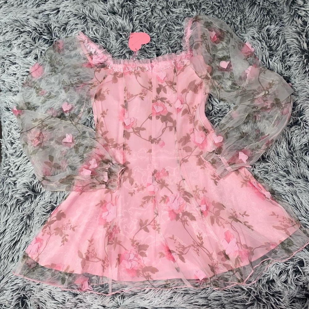 Sugar Thrillz Pink Floral Sheer Puff-Sleeve Mini Dress